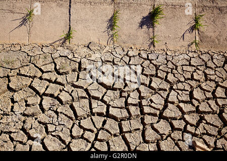 Canal d'irrigation du sol d'argile séchée dans les rizières de l'Albufera de Valence Banque D'Images