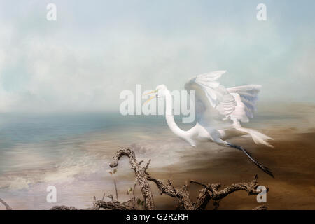 Aigrette en vol près d'une plage sur l'océan avec des vagues venant en Banque D'Images