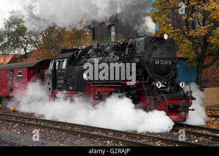 Locomotive à vapeur du Chemin de fer à voie étroite du Harz, fer Brocken, Harz, Wernigerode, Saxe-Anhalt, Allemagne Banque D'Images