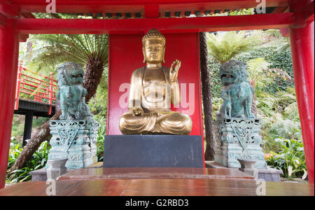 Bouddha en or dans le jardin japonais à Funchal Madeira Banque D'Images