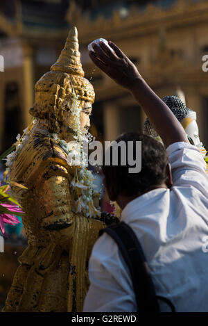 Les gens verser de l'eau sur une statue de Bouddha à la pagode Shwedagon, Yangon, Myanmar. Banque D'Images