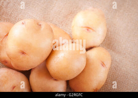 Les tubercules de pomme de terre sur une table close-up, vue du dessus Banque D'Images