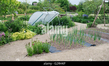 Attribution de légumes à Ryton jardins biologiques au printemps. Le Warwickshire, Angleterre Banque D'Images