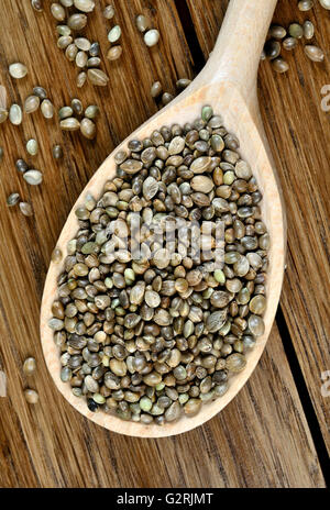 Les graines de chanvre dans une cuillère en bois sur la table Banque D'Images
