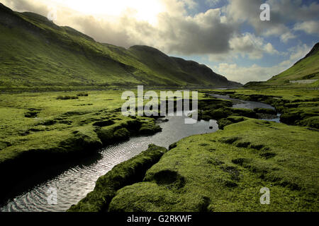 Ciel volatile et infectieuses verts sont typiques des Highlands écossais au printemps. Prise sur l'île de Skye. Banque D'Images