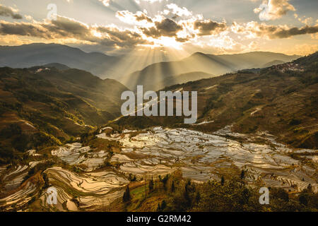 Coucher de soleil sur la bouche du tigre dans les champs de riz Yuanyang Banque D'Images