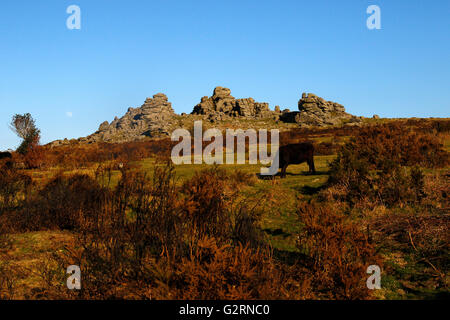 Os magnifique hill Rocks à Dartmoor, dans le Devon, situé juste au-dessus de Widecombe-dans-le-Moor un bel endroit pour se promener et explorer Banque D'Images