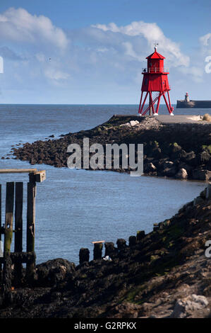 Épi de troupeau, le phare de South Shields Banque D'Images