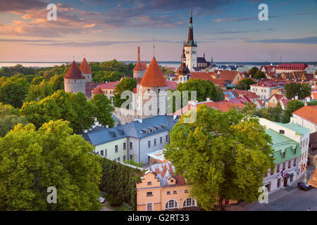 Tallinn. Droit de la vieille ville de Tallinn en Estonie pendant le coucher du soleil. Banque D'Images