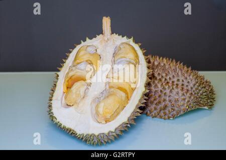 Le roi des fruits, Durian prêt à être déchiré avec aqua et fond gris foncé Banque D'Images