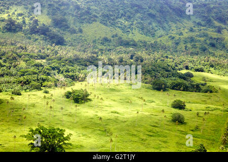 Vue aérienne de l'île d'Efate, Vanuatu Banque D'Images