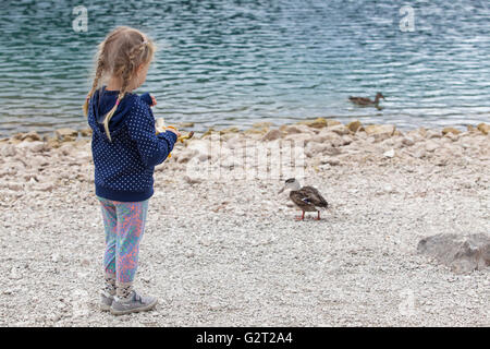 Chez les canards petite fille de Black Lake dans le parc national de Durmitor Banque D'Images