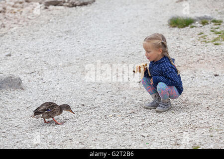 Chez les canards petite fille de Black Lake dans le parc national de Durmitor Banque D'Images