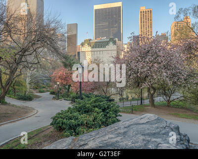 Central Park, New York City au début du printemps avec des fleurs et des arbres en fleur Banque D'Images