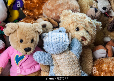 WA11690-00...WASHINGTON - les animaux en peluche dans la chambre d'un enfant Banque D'Images