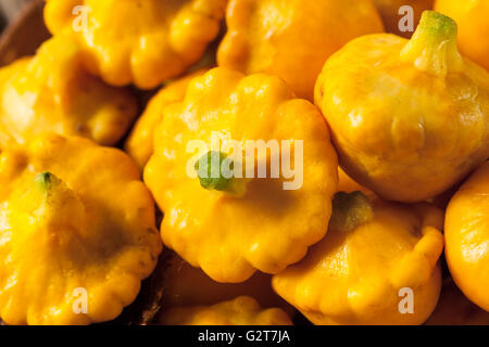 Pattypan jaune biologiques crus Squash prête pour la cuisson Banque D'Images