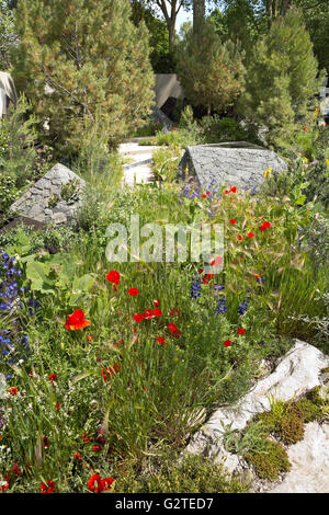 RHS Chelsea Flower Show 2016, le jardin de la Banque Royale du Canada, de l'argent doré, gagnant de la médaille d'Hugo design bugg Banque D'Images