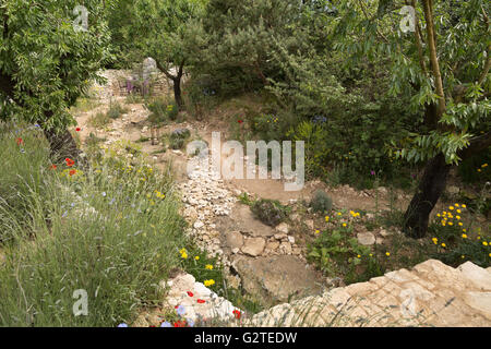 RHS Chelsea Flower Show 2016, L'Occitane, jardin, gagnant de la médaille d'or de Basson MSGD James design Banque D'Images