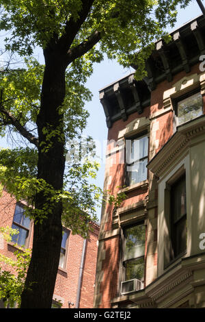 Quartier de Brooklyn Heights, Brooklyn, New York, USA Banque D'Images