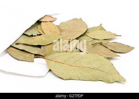 Les feuilles de laurier dans du papier blanc bag isolated on white Banque D'Images