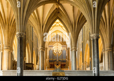 En regardant vers l'orgue de la cathédrale de Wells. Banque D'Images