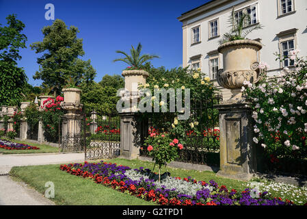 Autriche, Salzbourg, Palais Mirabell. accompagné d'un urnes et de fleurs. Banque D'Images