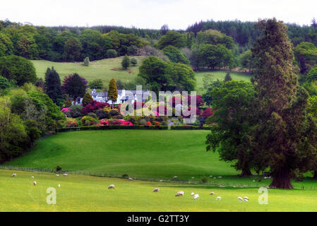 Forte Nibthwaite ; Coniston Water, Lake District, Cumbria, Angleterre, Royaume-Uni Banque D'Images