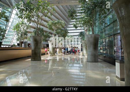 Des arbres à l'intérieur comme à l'hôtel Marina Bay Sands à Singapour Banque D'Images