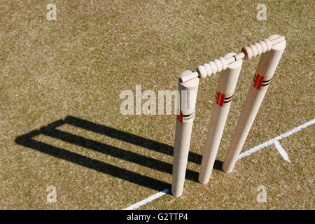 Sport, Ball, cricket, des souches. Banque D'Images