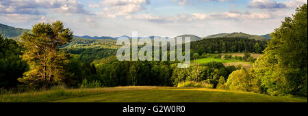 Panorama de la de la Forêt du Palatinat près de Dahn en Allemagne Banque D'Images