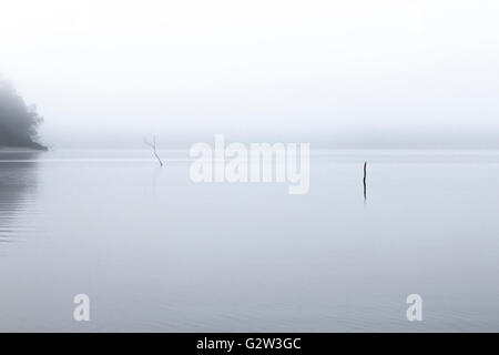 Vue de paysage brumeux au fleuve Amazone au Brésil. La scène misty évoque des sensations de calme, de paix et de tranquillité Banque D'Images