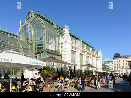 Palm House dans le Burggarten, Autriche, Vienne, Wien Banque D'Images