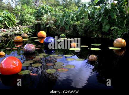 Jardin tropical à l'étang Jardin Botanique Tropical Fairchild museum à Coral Gables, en Floride. Banque D'Images