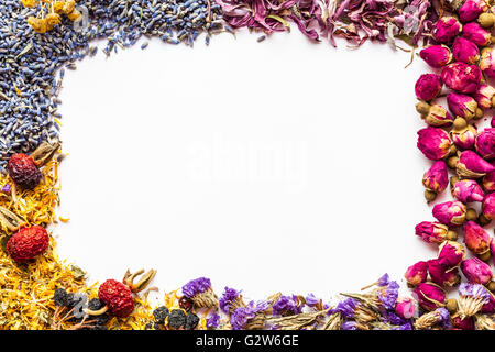 Frontière de bonne santé des herbes et des collection de thé sur fond blanc. Mise à plat de la composition du cadre, vue du dessus. Banque D'Images