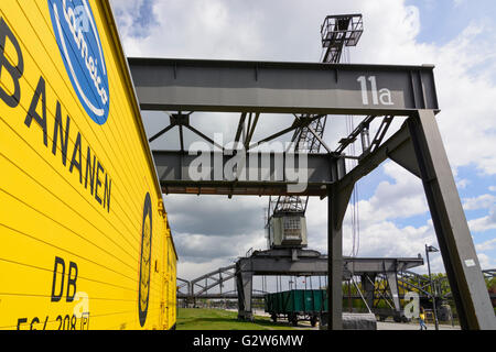 L'ancien chantier naval Weseler avec d'anciens wagons de marchandises pour les fruits, en Allemagne, en Hesse, Hesse , Frankfurt am Main Banque D'Images