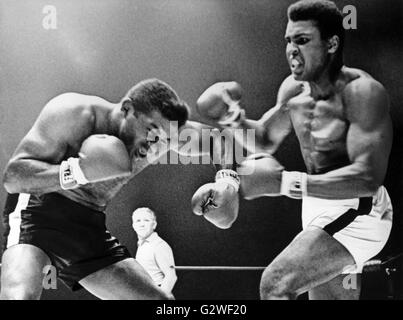 Boxeur américain Floyd Patterson (l) est battu par Cassius Clay (r) à Las Vegas le 22 novembre en 1965. Patterson a été rejeté à la 12e round par ko. Dans le monde d'utilisation | Banque D'Images