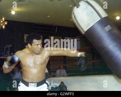 Arlington, Virginia, USA. Apr 20, 1976. Heavyweight Champion Muhammad Ali hits un sac qu'il s'entraîne pour sa lutte contre Jimmy Young à Arlington, en Virginie, le 20 avril 1976. Credit : Arnie Sachs/CNP © Arnie Sachs/CNP/ZUMA/Alamy Fil Live News Banque D'Images