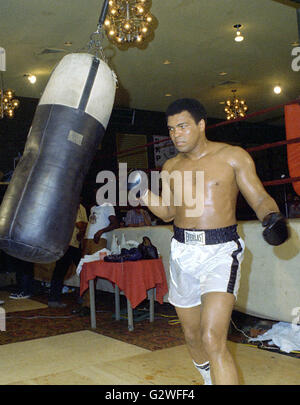 Arlington, Virginia, USA. Apr 20, 1976. Heavyweight Champion Muhammad Ali hits un sac qu'il s'entraîne pour sa lutte contre Jimmy Young à Arlington, en Virginie, le 20 avril 1976. Credit : Arnie Sachs/CNP © Arnie Sachs/CNP/ZUMA/Alamy Fil Live News Banque D'Images