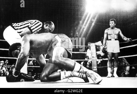 Fichier - Un fichier photo datée du 30 octobre 1974 nous montre boxeur Muhammad Ali (R) retour debout dans un coin comme sa frappa-out opposant George Foreman (avant l) a du mal à se remettre sur ses pieds, il est envisagé le décompte de l'arbitre au 8e round de leur combat de boxe à Kinshasa, Congo, 30 octobre 1974. Né Cassius Clay, légende de boxe Muhammad Ali, appelé 'la plus grande, ' est mort le 03 juin 2016 à Phoenix, Arizona, USA, à l'âge de 74 ans, un porte-parole de la famille a dit. Photo : AFP Banque D'Images