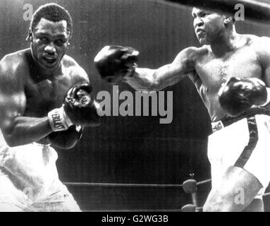 Fichier - Un fichier photo datée du 29 janvier 1974 nous montre boxeur Muhammad Ali (R) et son adversaire Joe Frazier (L) en action au cours de leur combat au Madison Square Garden de New York, USA. Né Cassius Clay, légende de boxe Muhammad Ali, appelé 'la plus grande, ' est mort le 03 juin 2016 à Phoenix, Arizona, USA, à l'âge de 74 ans, un porte-parole de la famille a dit. Photo : AFP Banque D'Images