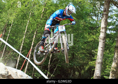 Fort William, Écosse, Royaume-Uni. 04 Juin, 2016. Rider pratiquer sur le parcours, pour la Coupe du Monde de VTT de descente à Fort William, Écosse le 4 juin 2016. Credit : Malcolm Gallon/Alamy Live News Banque D'Images