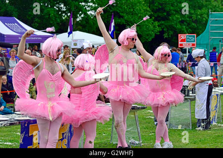 Coxheath, Kent, Angleterre, 4 juin 2016. Quatre équipes de la compétition à l'official World Championship 2016 Tarte à la crème dans le village de Coxheath près de Maidstone, Kent. A commencé en 1967 par le conseiller Mike FitzGerald comme un moyen de recueillir des fonds pour la salle des fêtes, l'événement est devenu un sport international avec une équipe gagnante du Japon en 2015. http://www.worldcustardpiechampionship.co.uk/ PjrNews : Crédit/Alamy Live News Banque D'Images