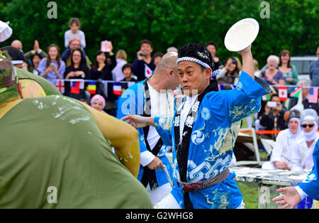 Coxheath, Kent, Angleterre, 4 juin 2016. Quatre équipes de la compétition à l'official World Championship 2016 Tarte à la crème dans le village de Coxheath près de Maidstone, Kent. A commencé en 1967 par le conseiller Mike FitzGerald comme un moyen de recueillir des fonds pour la salle des fêtes, l'événement est devenu un sport international avec une équipe gagnante du Japon en 2015. http://www.worldcustardpiechampionship.co.uk/ PjrNews : Crédit/Alamy Live News Banque D'Images