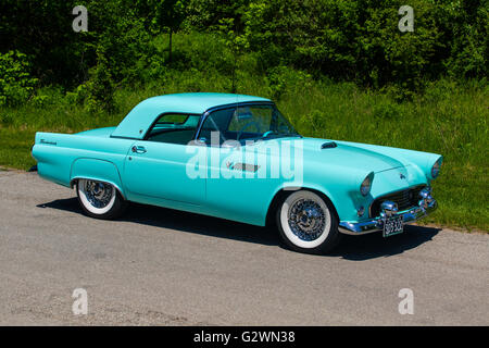 1955 Ford Thunderbird Banque D'Images