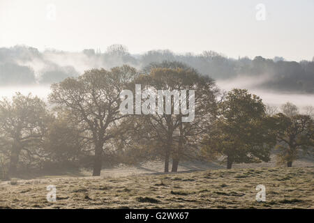 Runnymede, UK. 1er mai 2016. Vue au lever du soleil vers une prairie couverte de brouillard Runnymede, et la Tamise. Banque D'Images