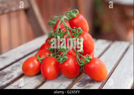 Branche de tomates cerise mûre rouge sur la table en bois, selective focus Banque D'Images