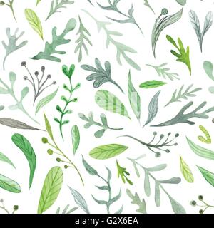 La texture d'été transparente avec des feuilles vertes isolé sur fond blanc pour l'industrie textile et design papier Banque D'Images