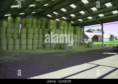 Bottes de foin dans la zone de stockage de ferme Banque D'Images