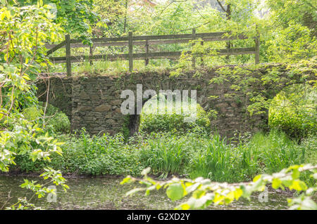 Vieux pont de pierre en ruine sur les douves dans la verdure du printemps Banque D'Images