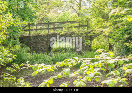 Vieux pont de pierre en ruine sur les douves dans la verdure du printemps Banque D'Images